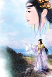 宠物小精灵之冠军